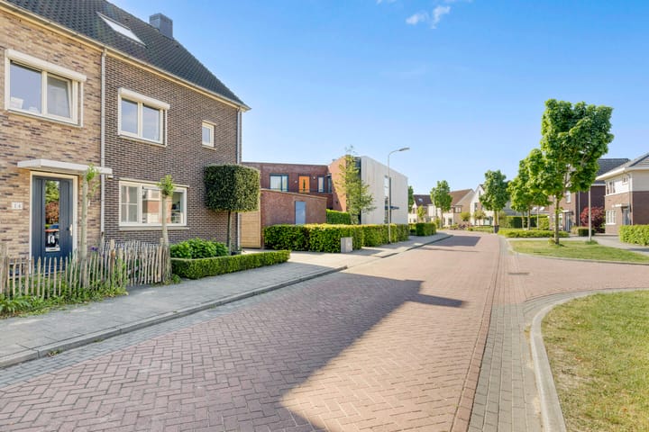 Photo 38 of Vlasakker 12