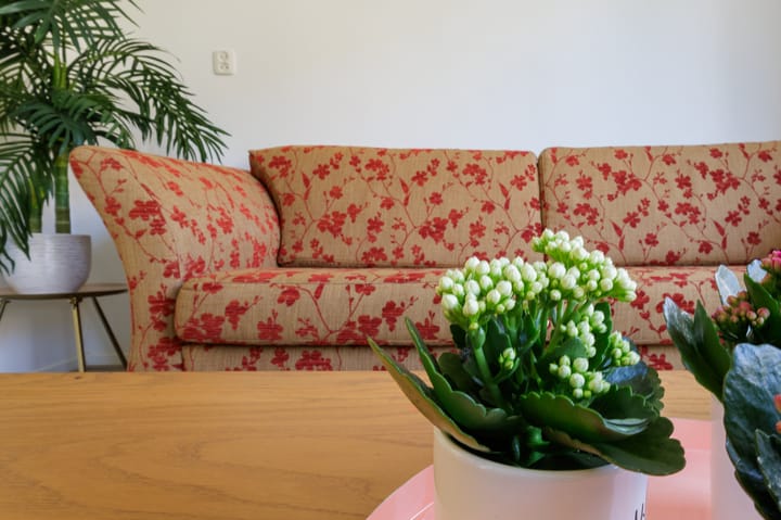 Foto 14 van Isebrandtsheerd 43-A