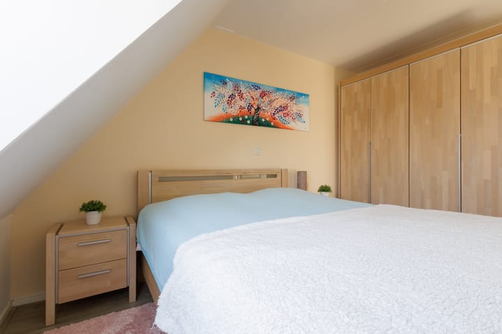 Foto 40 van Isebrandtsheerd 43-A