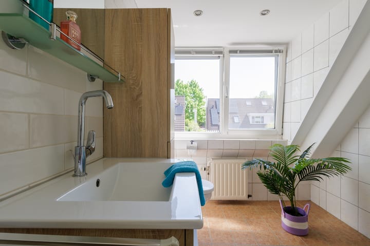 Foto 53 van Isebrandtsheerd 43-A