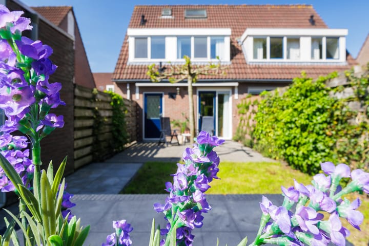 Foto 61 van Isebrandtsheerd 43-A