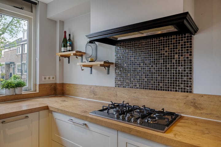 Foto 18 van Forel 44