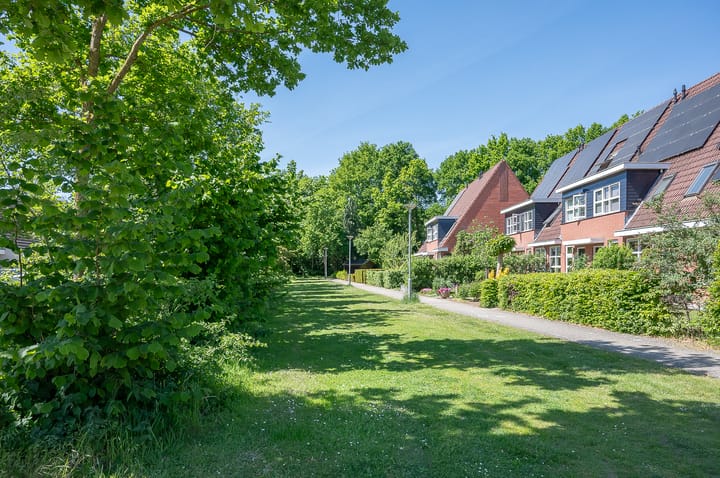 Foto 5 van Holtmaet 12