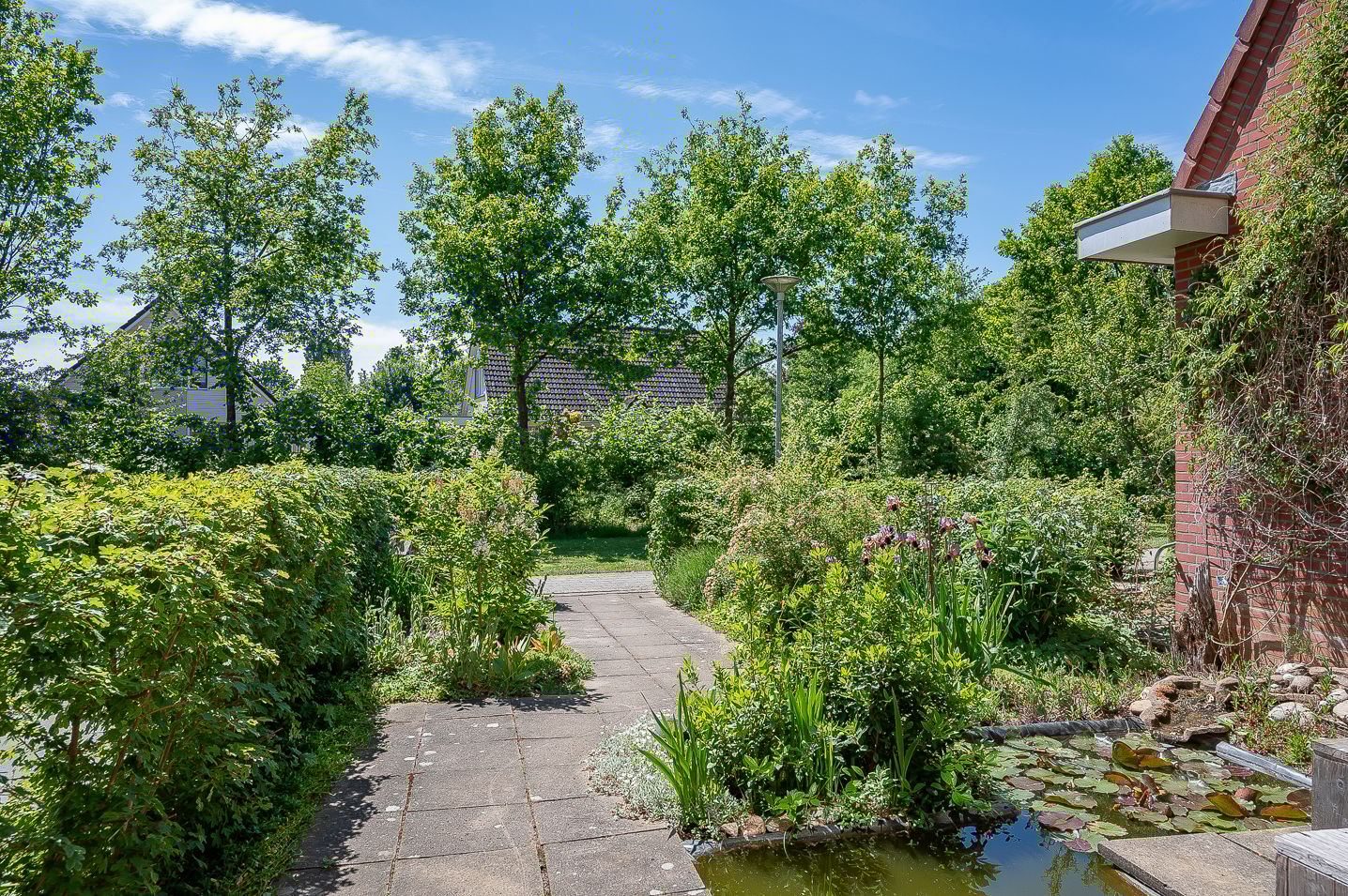 Foto 9 van Holtmaet 12