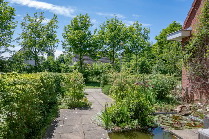 Foto 9 van Holtmaet 12