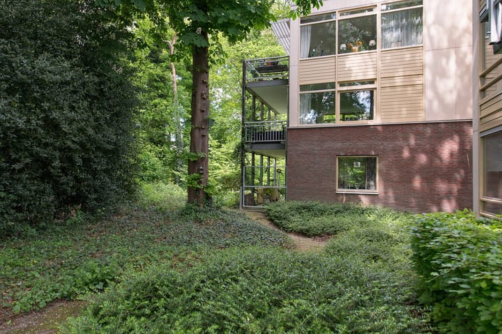 Foto 40 van Het Hof van Rolde 18