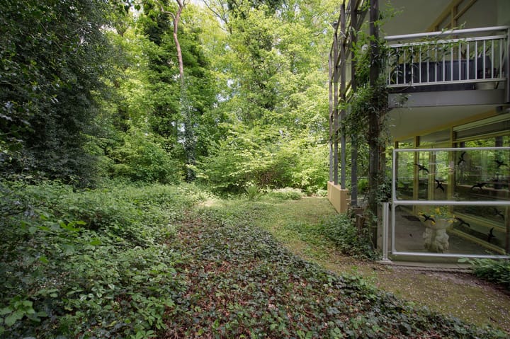 Foto 41 van Het Hof van Rolde 18