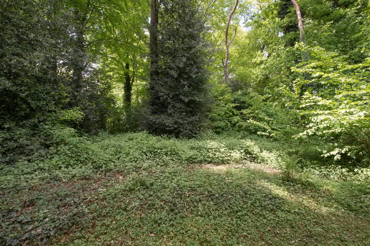 Foto 46 van Het Hof van Rolde 18