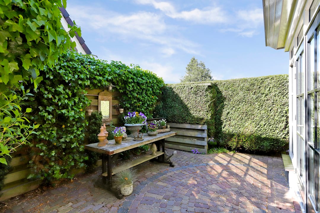 Foto 23 van Parelduiker 21