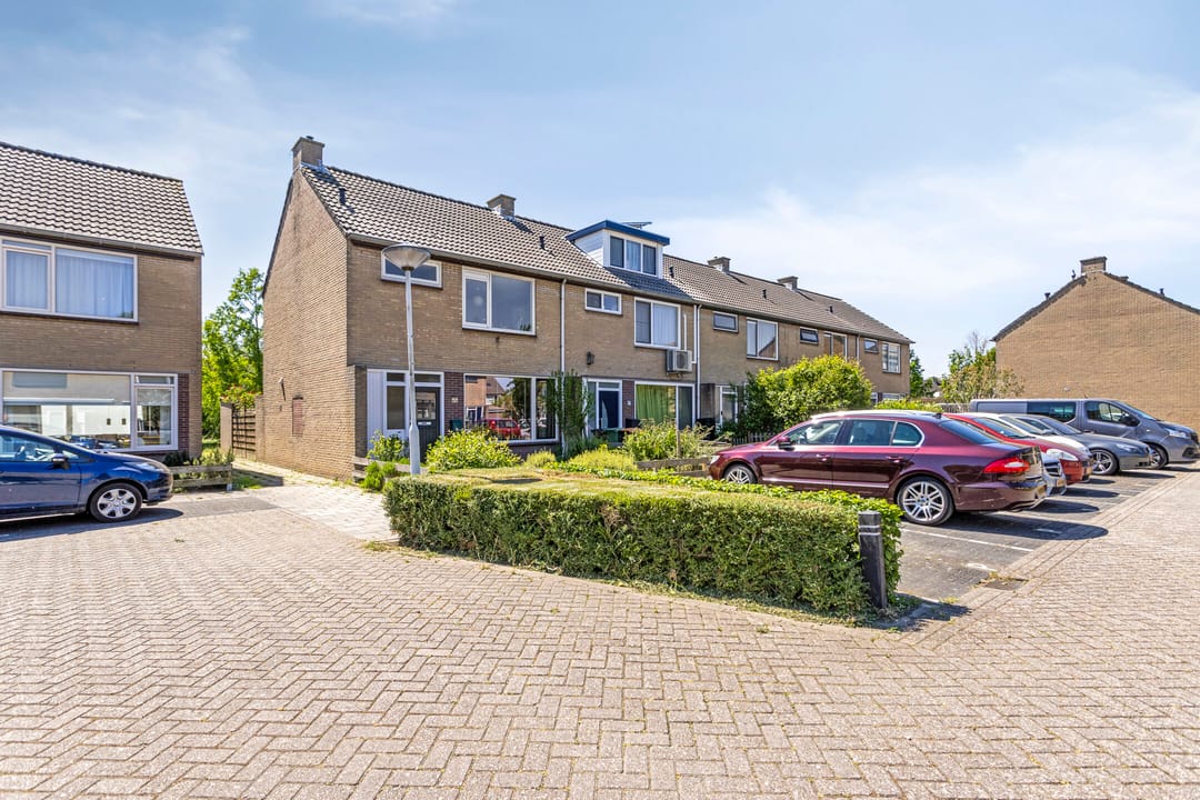 Foto 2 van de Lelie 20