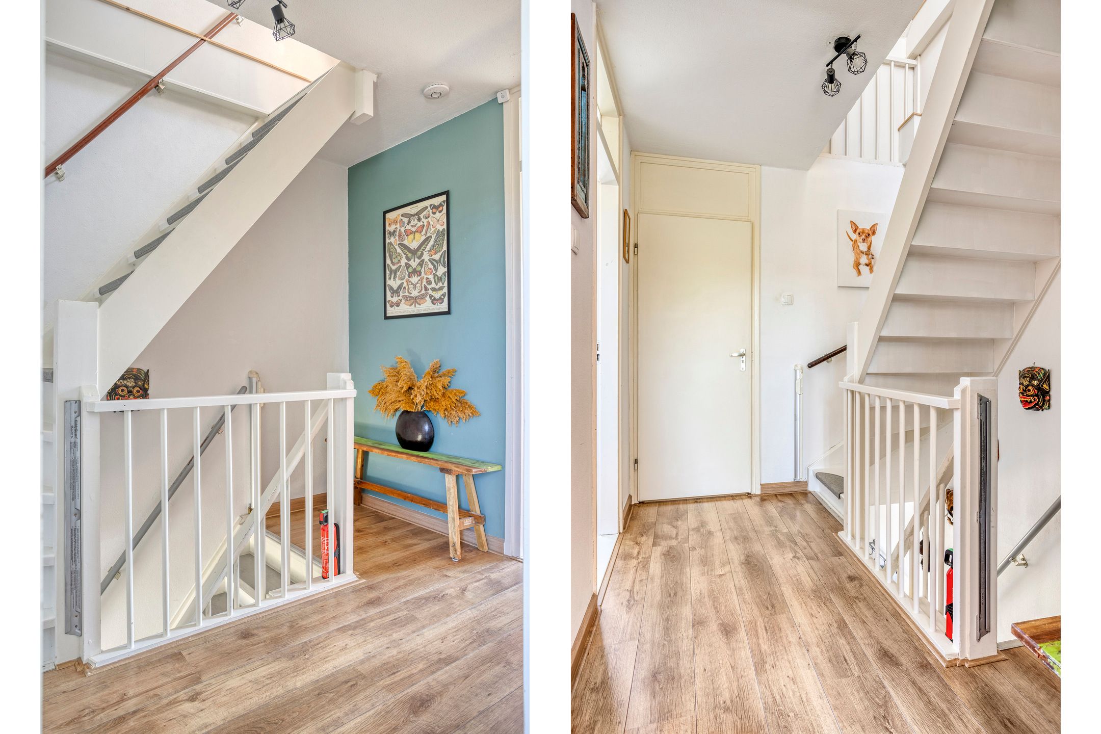 Foto 9 van de Lelie 20