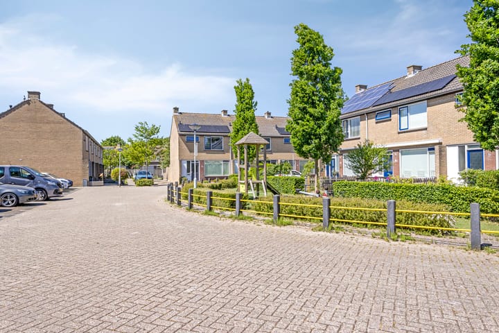 Foto 22 van de Lelie 20