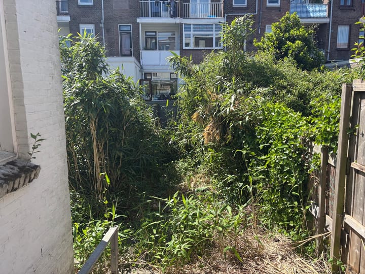 Foto 13 van Van Dijckstraat 11