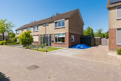 undefined main image