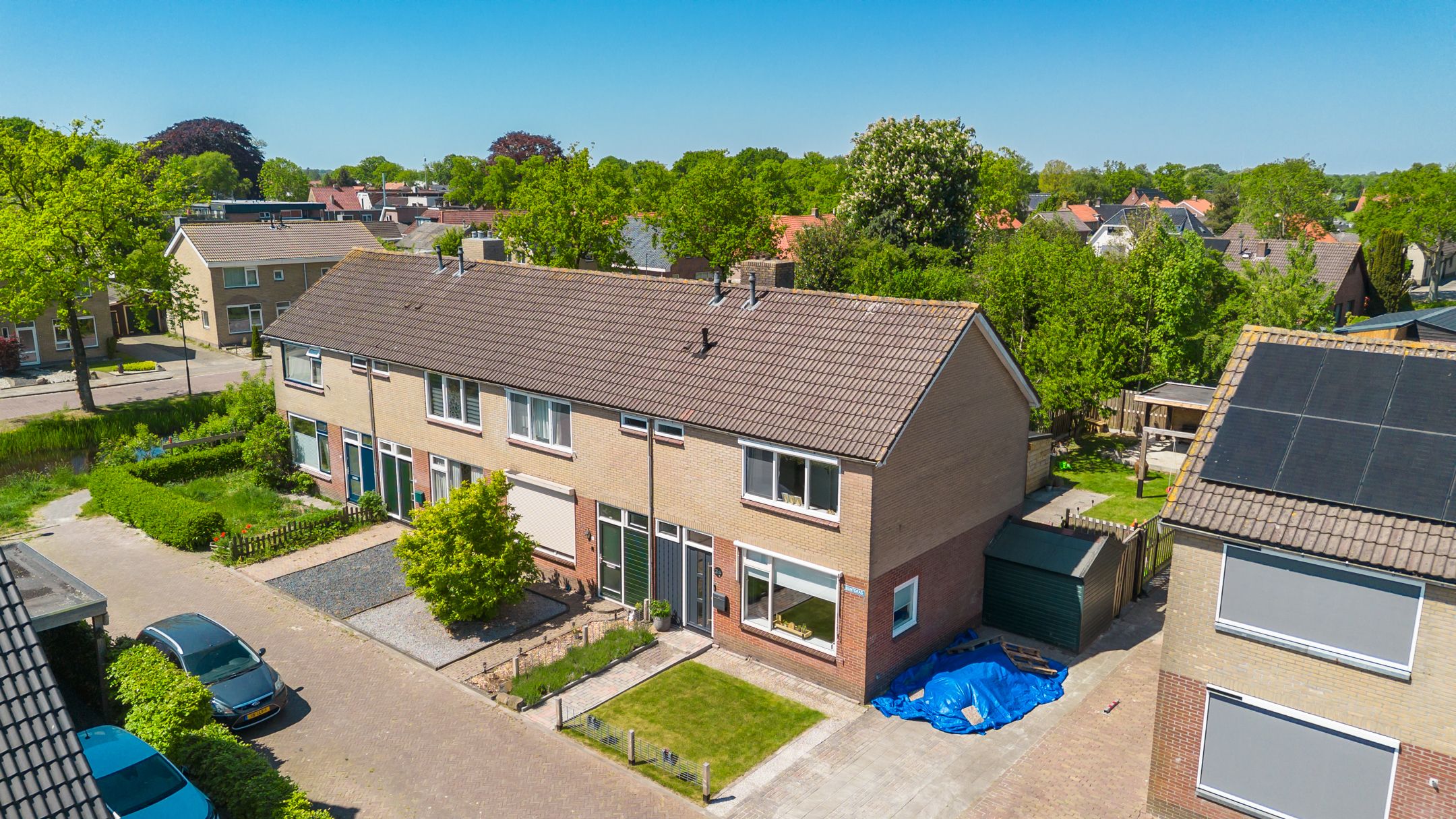 Foto 9 van Buntgras 11