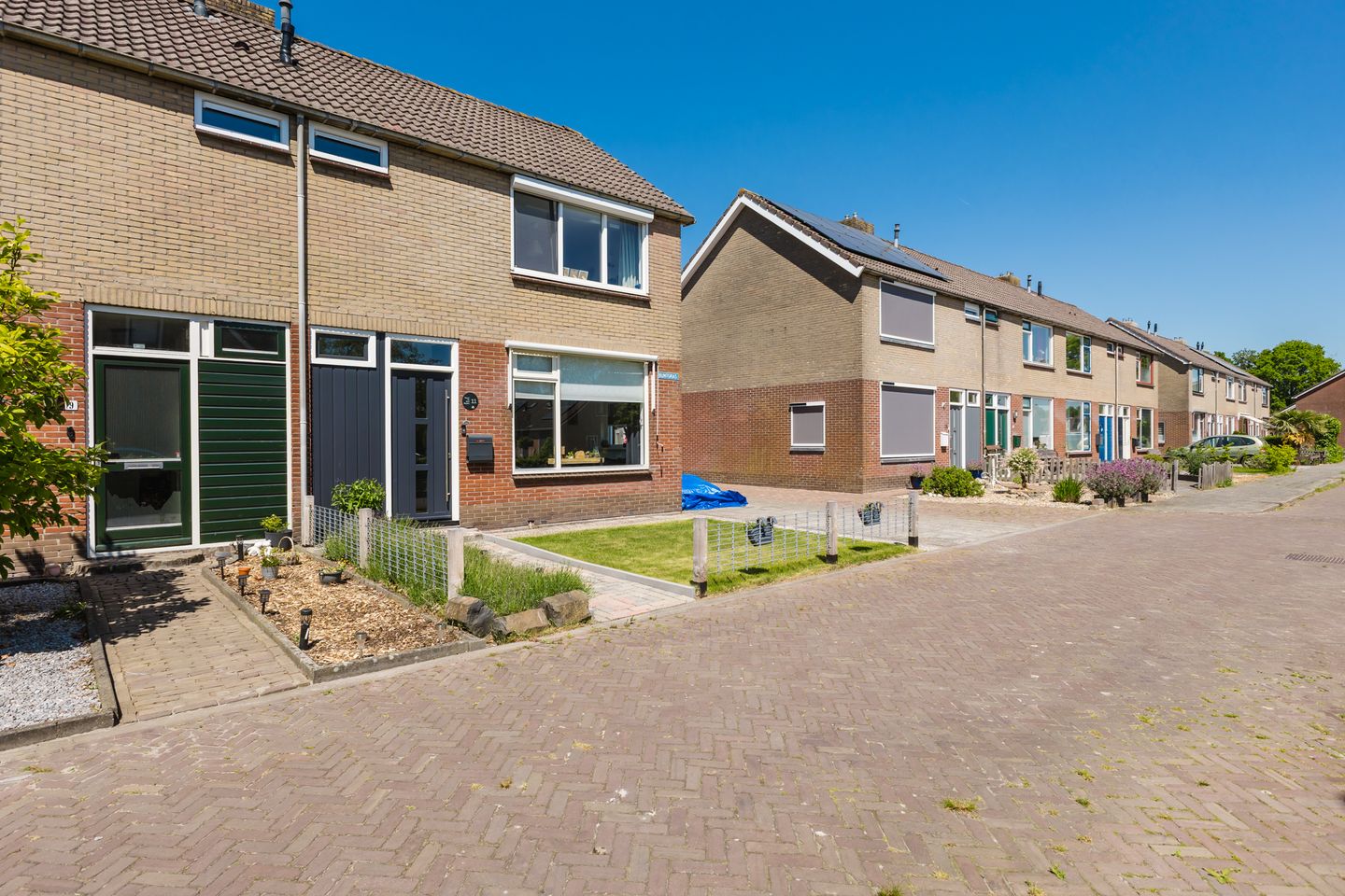 Foto 10 van Buntgras 11