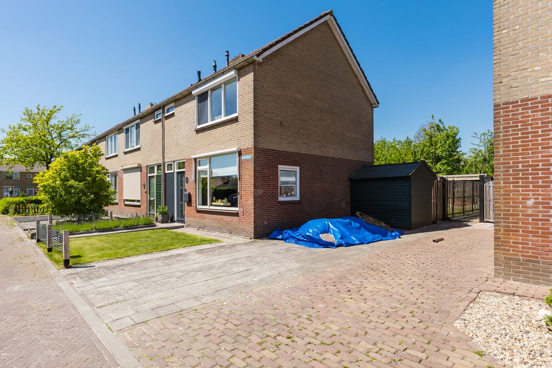 Foto 11 van Buntgras 11