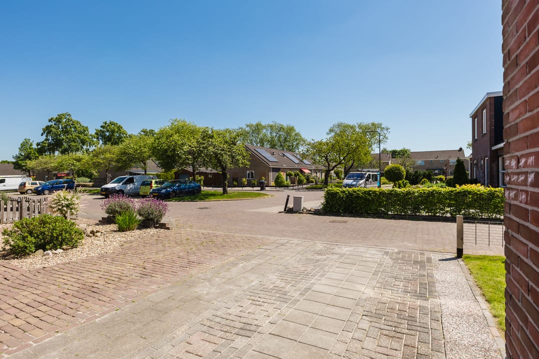 Foto 17 van Buntgras 11