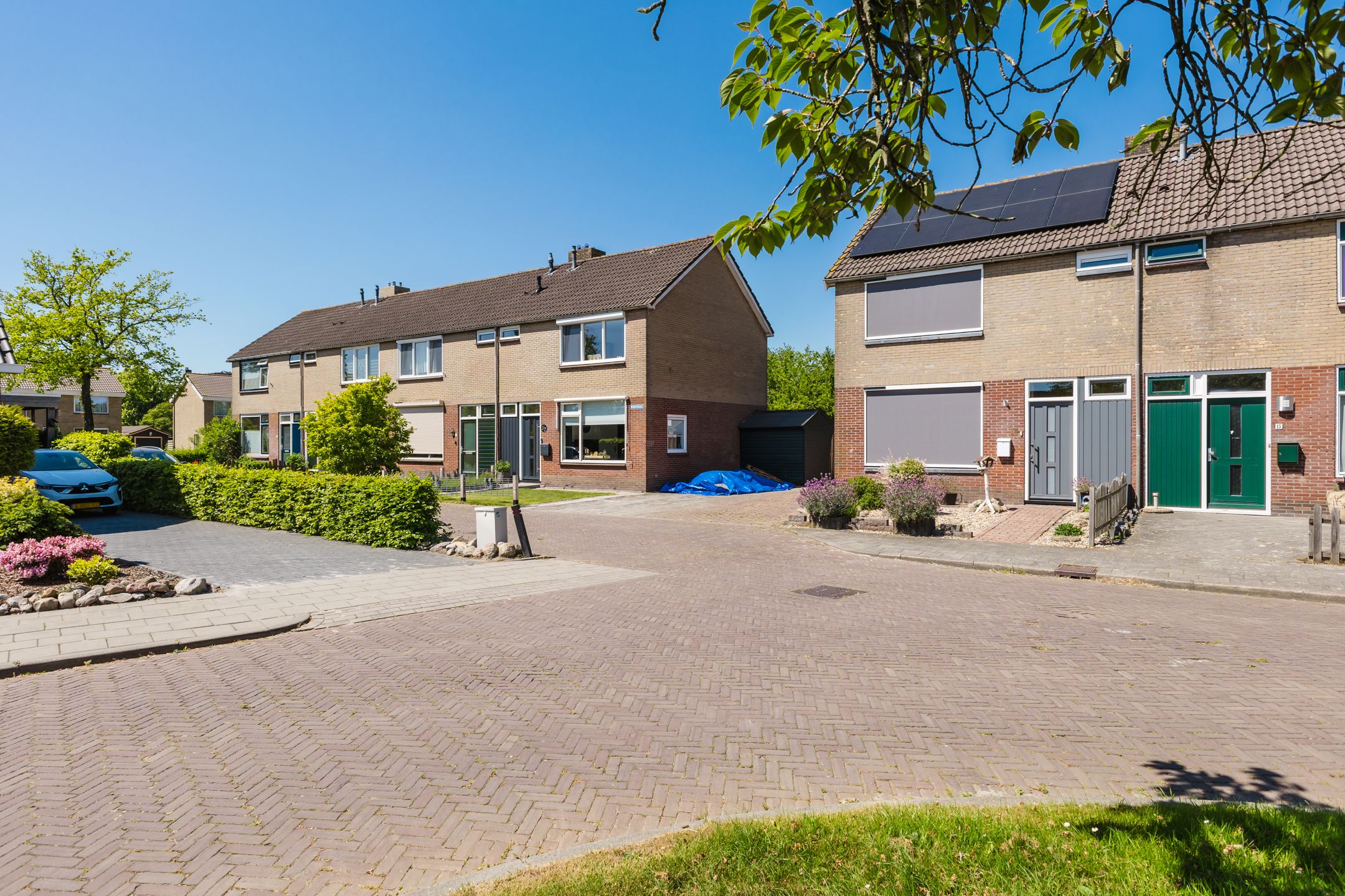 Foto 18 van Buntgras 11