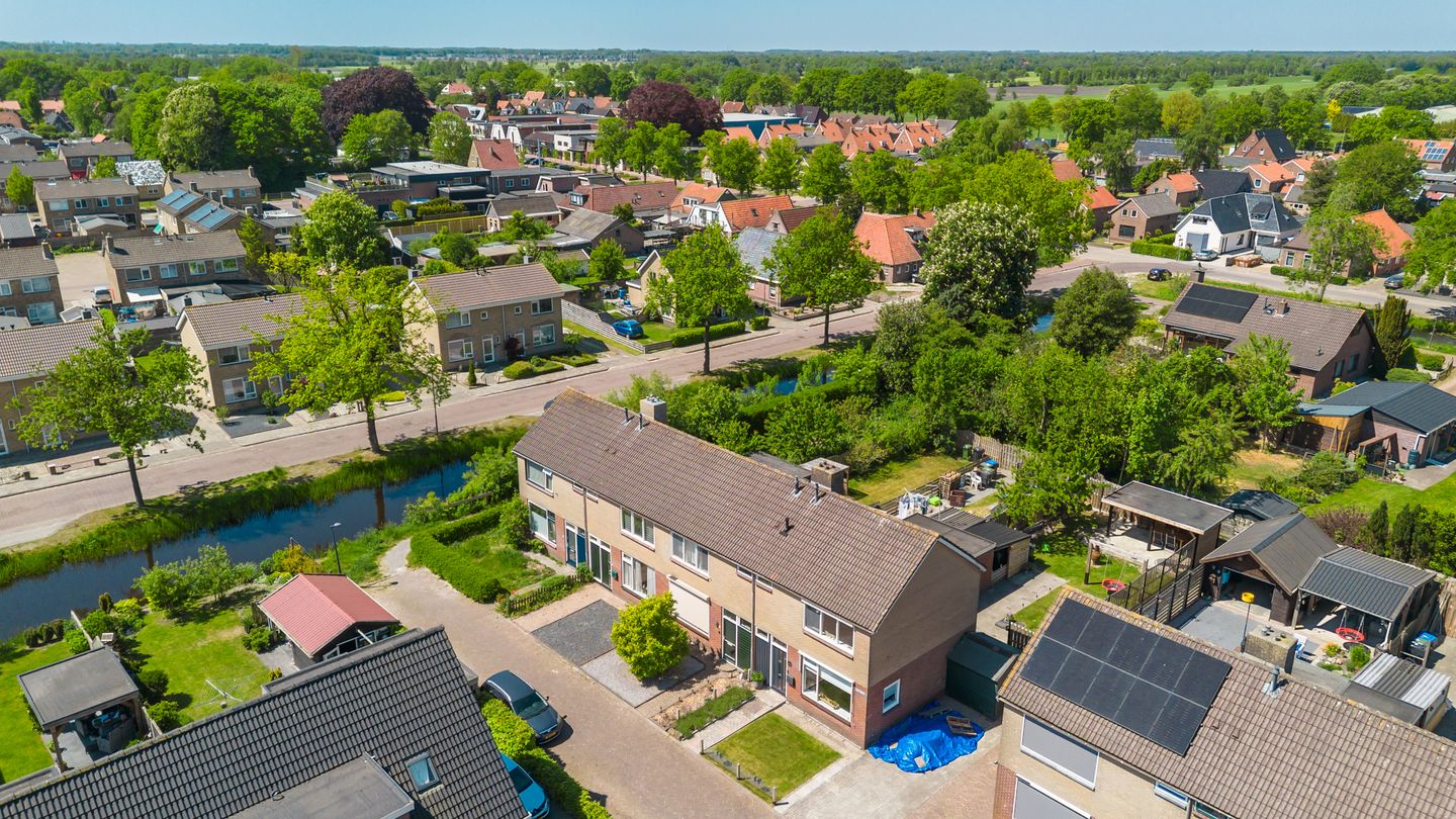 Foto 19 van Buntgras 11