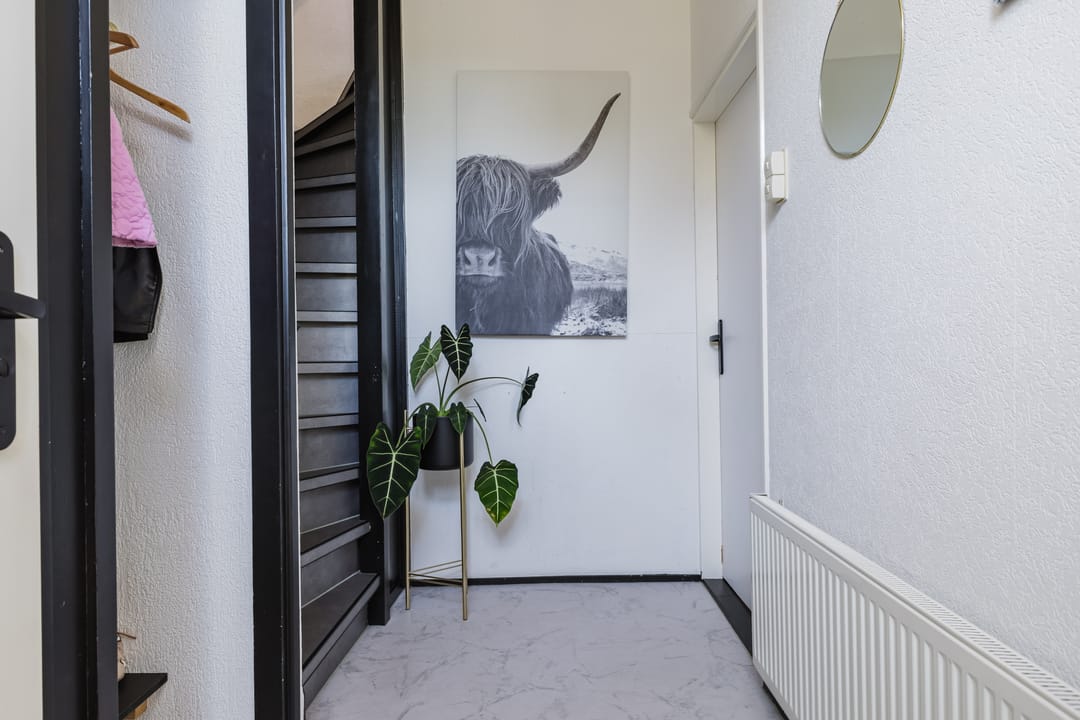 Foto 22 van Buntgras 11