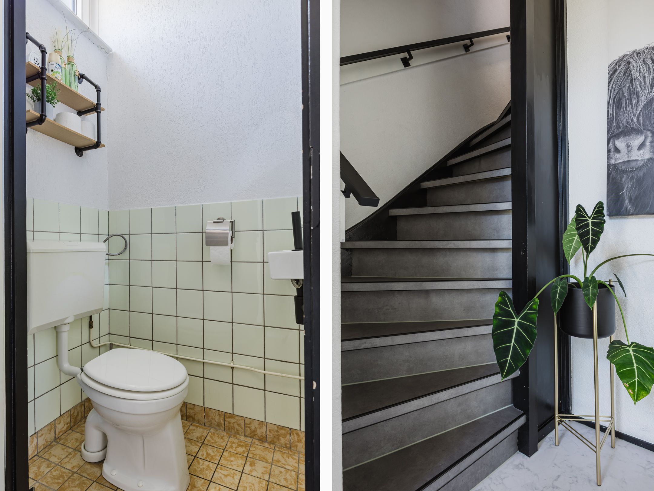 Foto 39 van Buntgras 11