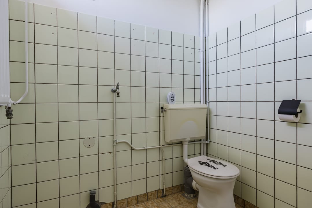 Foto 41 van Buntgras 11