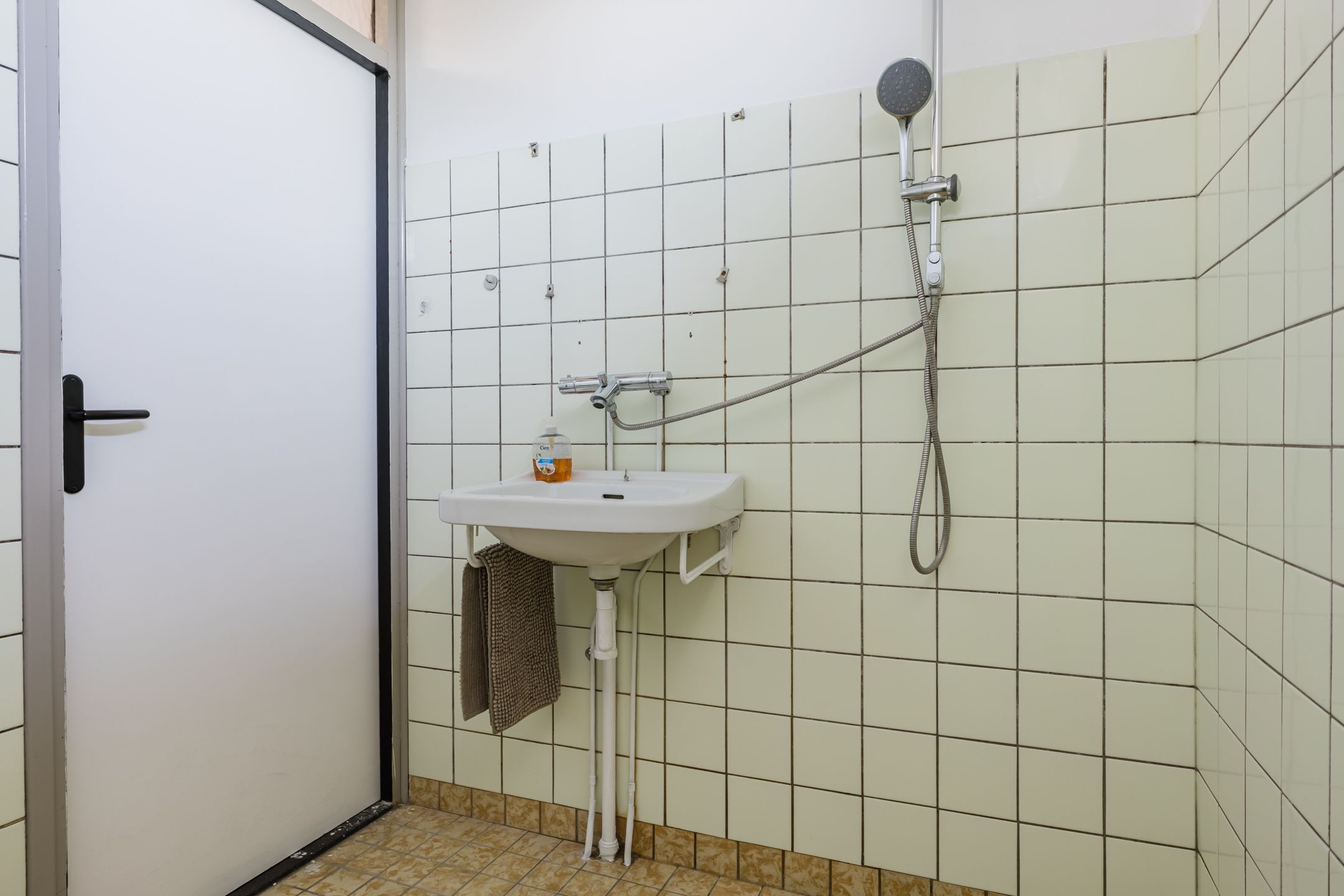 Foto 42 van Buntgras 11