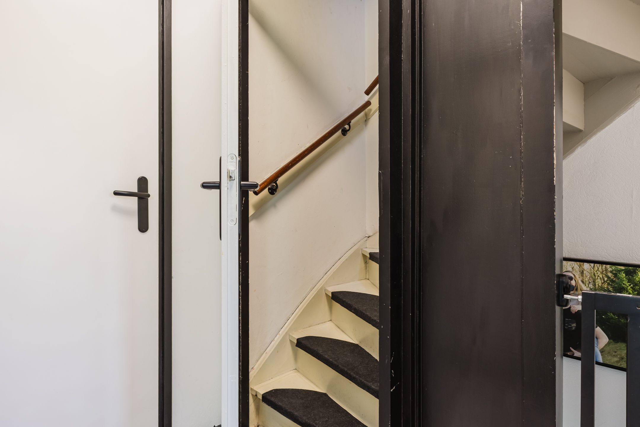 Foto 48 van Buntgras 11