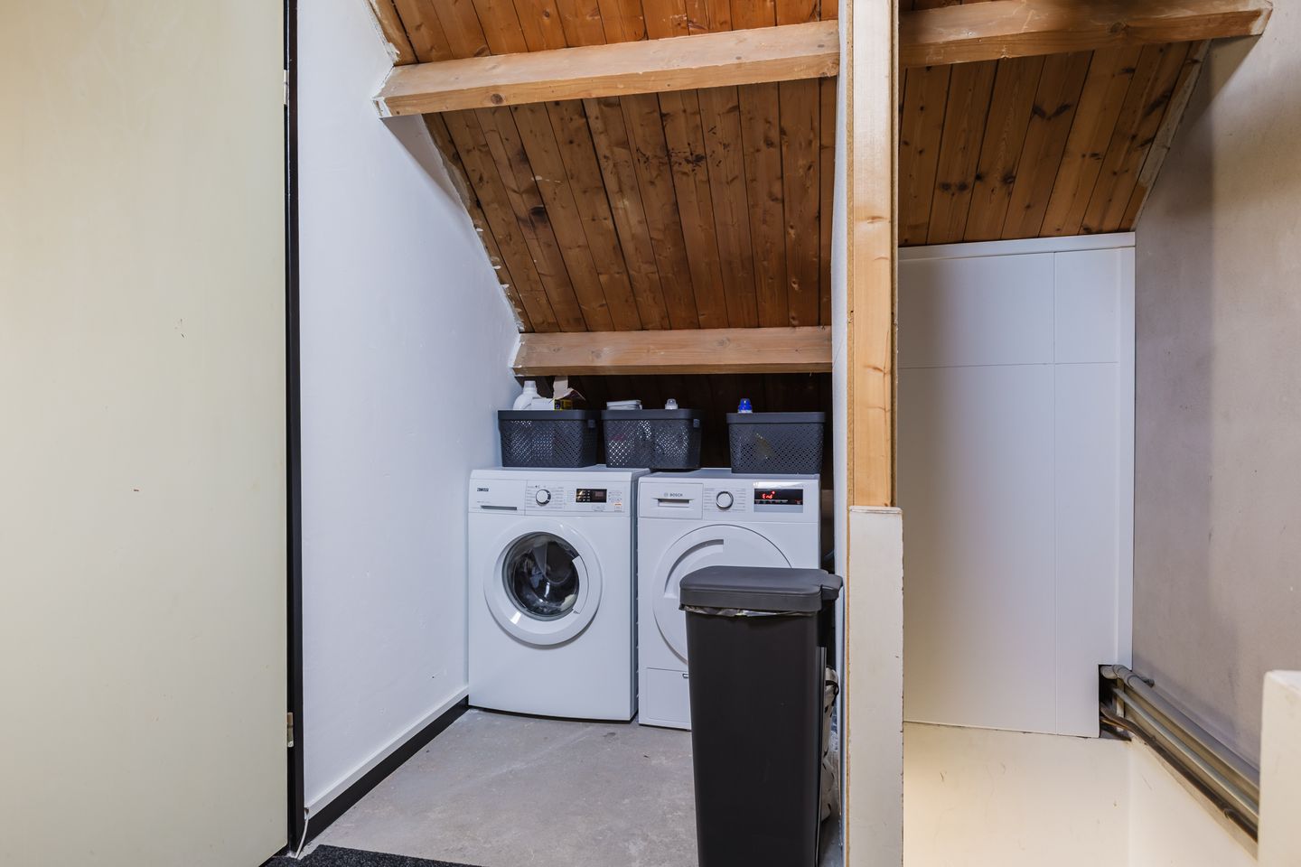 Foto 49 van Buntgras 11