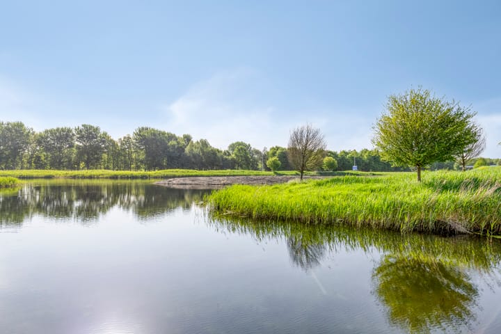 Foto 37 van Wetland 14