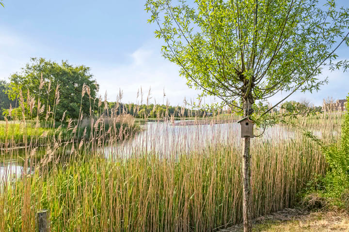 Foto 42 van Wetland 14