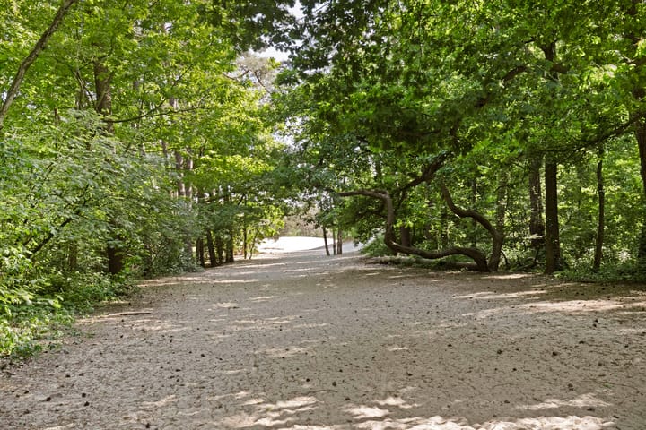 Foto 57 van Soesterbergsestraat 106