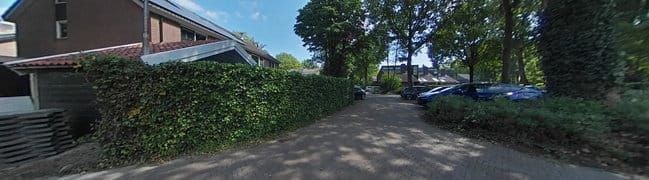Tuin