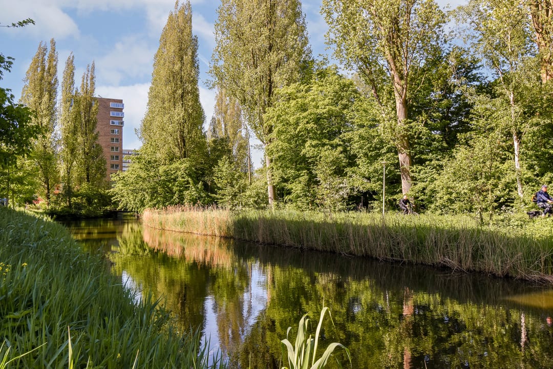 Foto 28 van Maimonideslaan 118