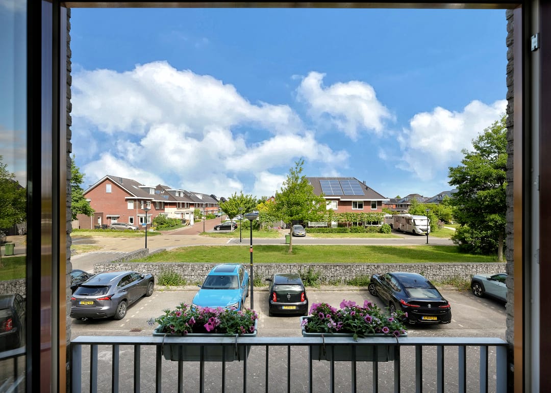 Photo 13 of Weegbree 35