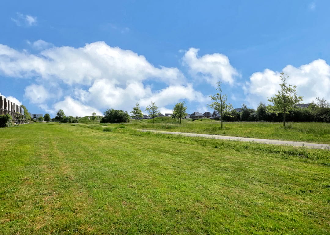 Photo 38 of Weegbree 35