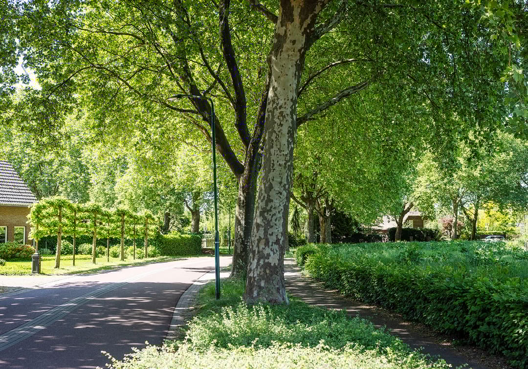 Photo 38 of Kerkveld 54