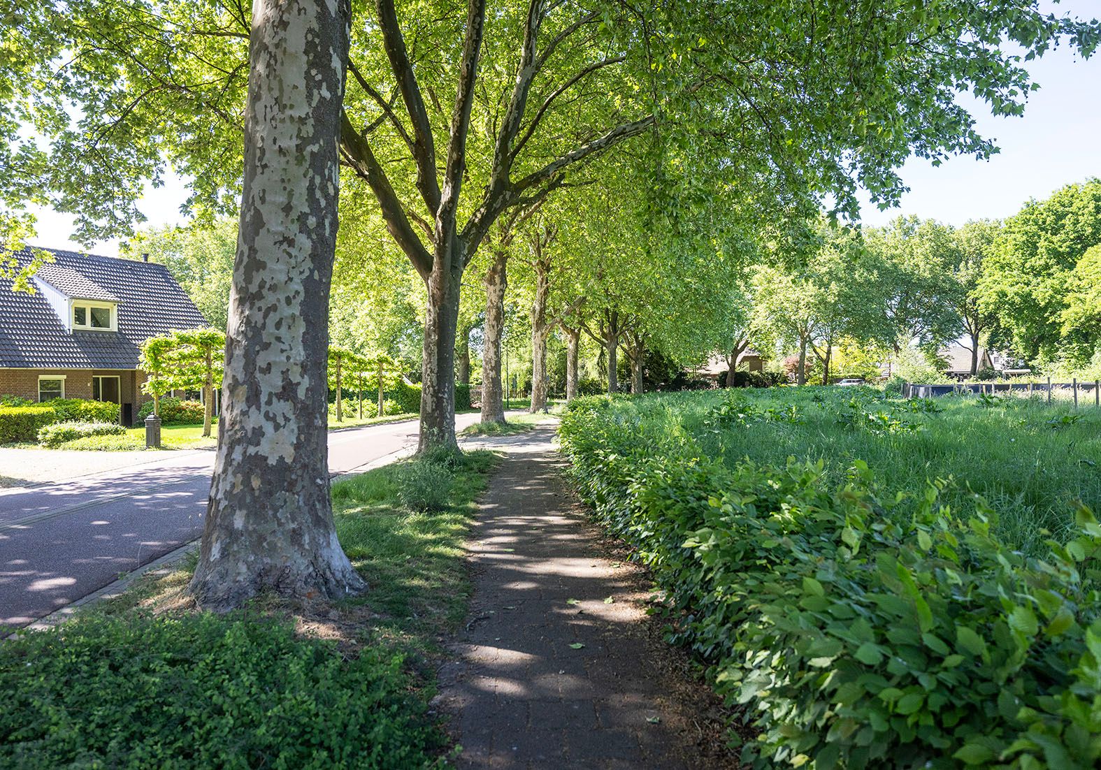 Photo 39 of Kerkveld 54