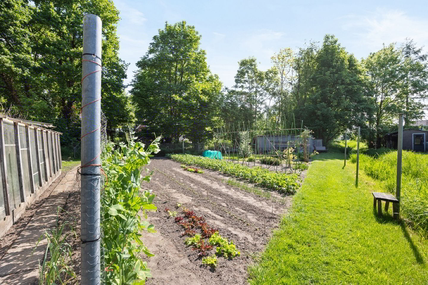 Photo 40 of Poeldonk 20