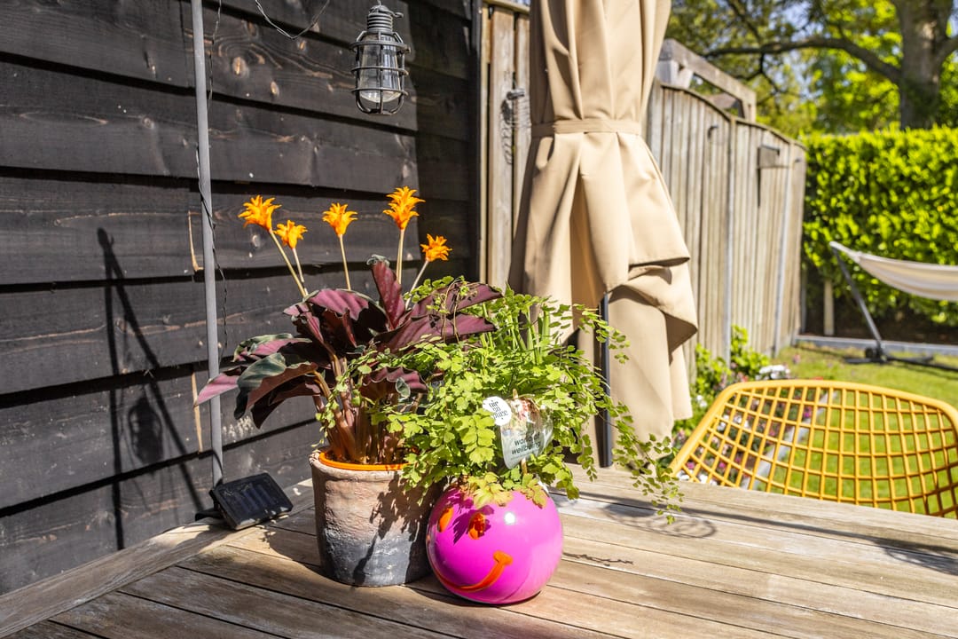 Foto 26 van Korenschuur 37