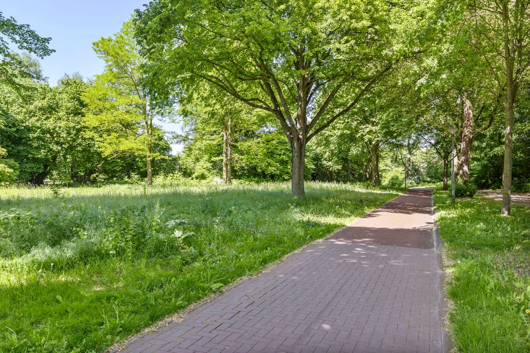 Photo 8 of Bovenburen 175