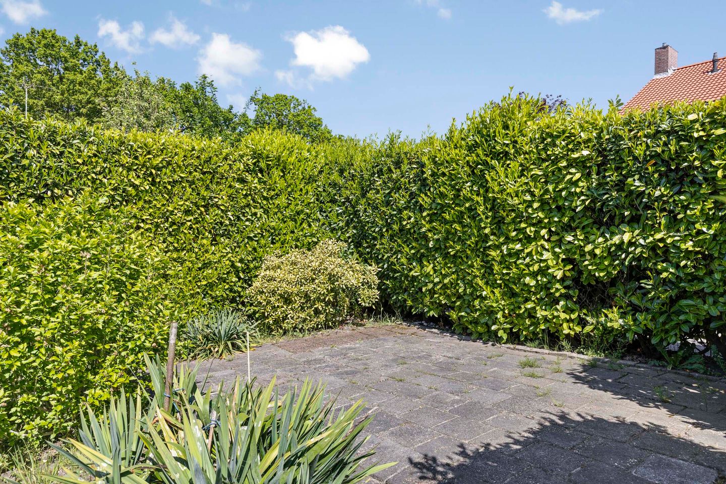 Photo 29 of Bovenburen 175