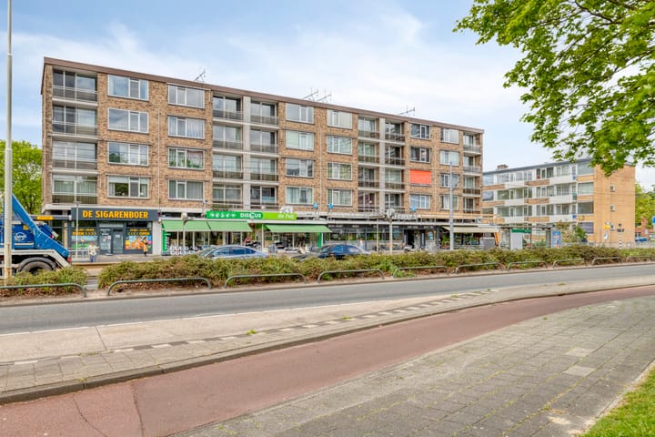 Molenvliet 117