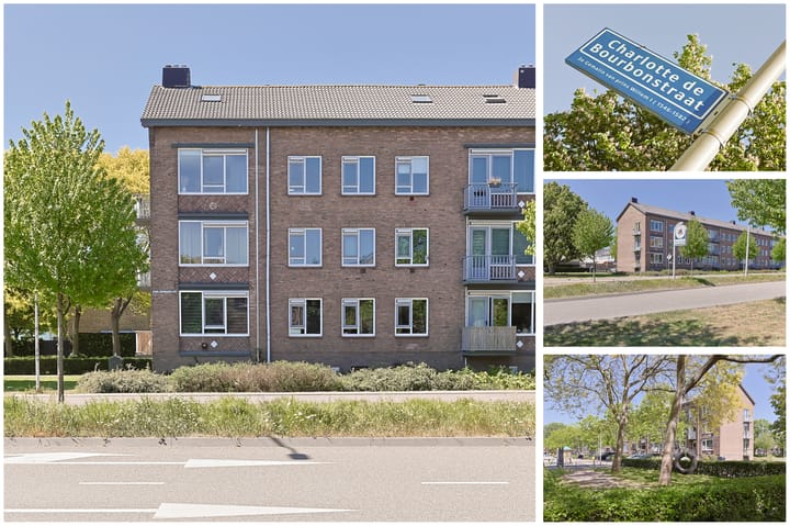 Foto 5 van Charlotte de Bourbonstraat 6