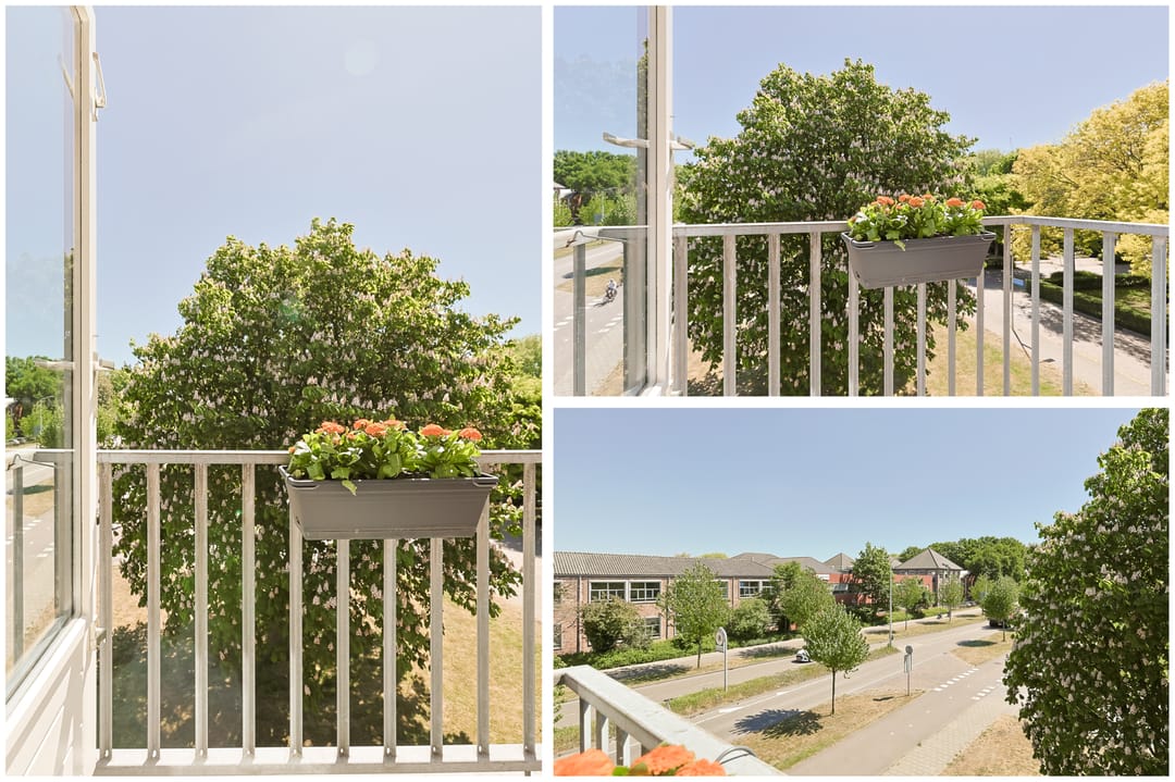 Foto 43 van Charlotte de Bourbonstraat 6