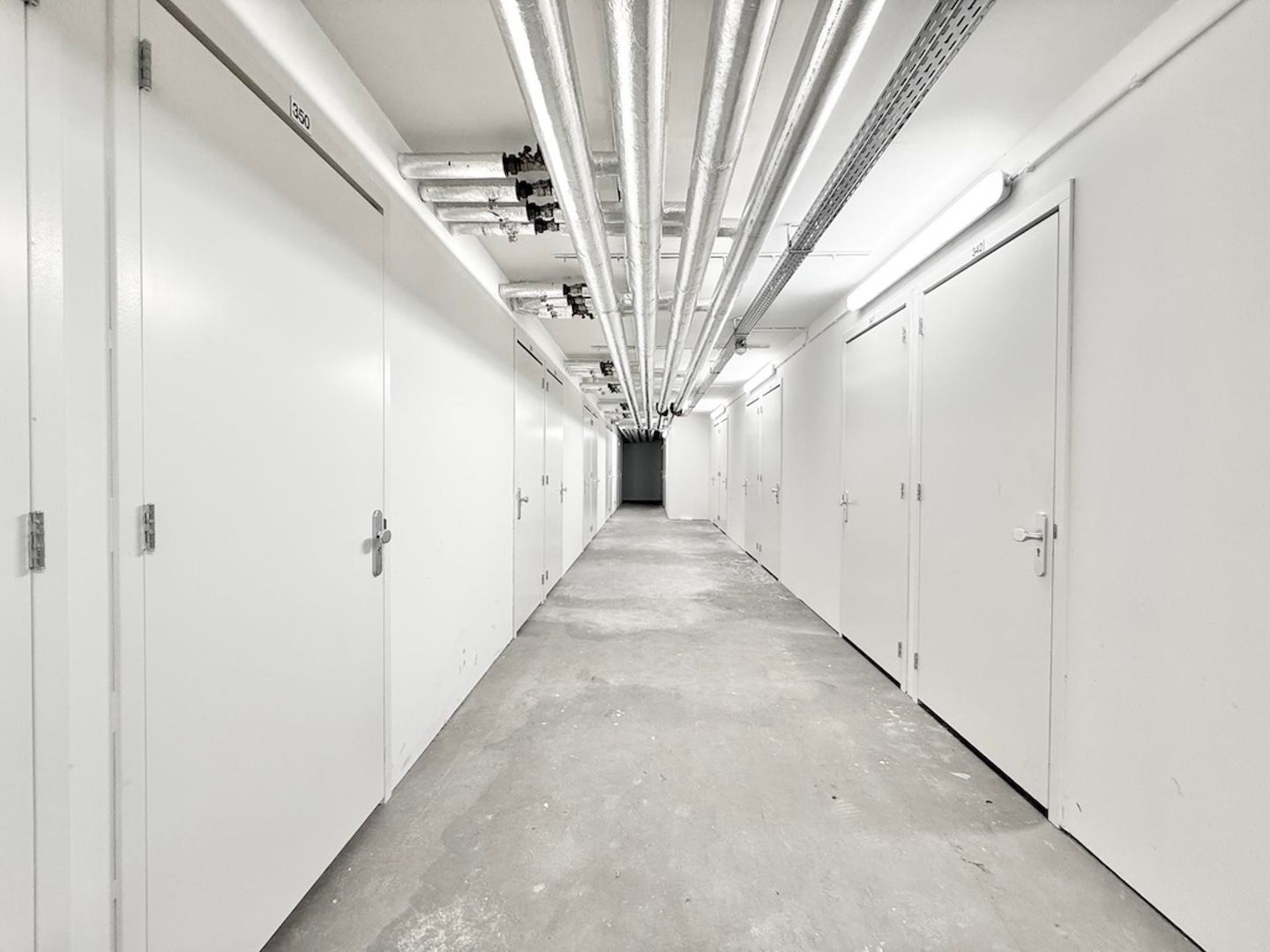 Foto 10 van Bos en Lommerplantsoen 89-M