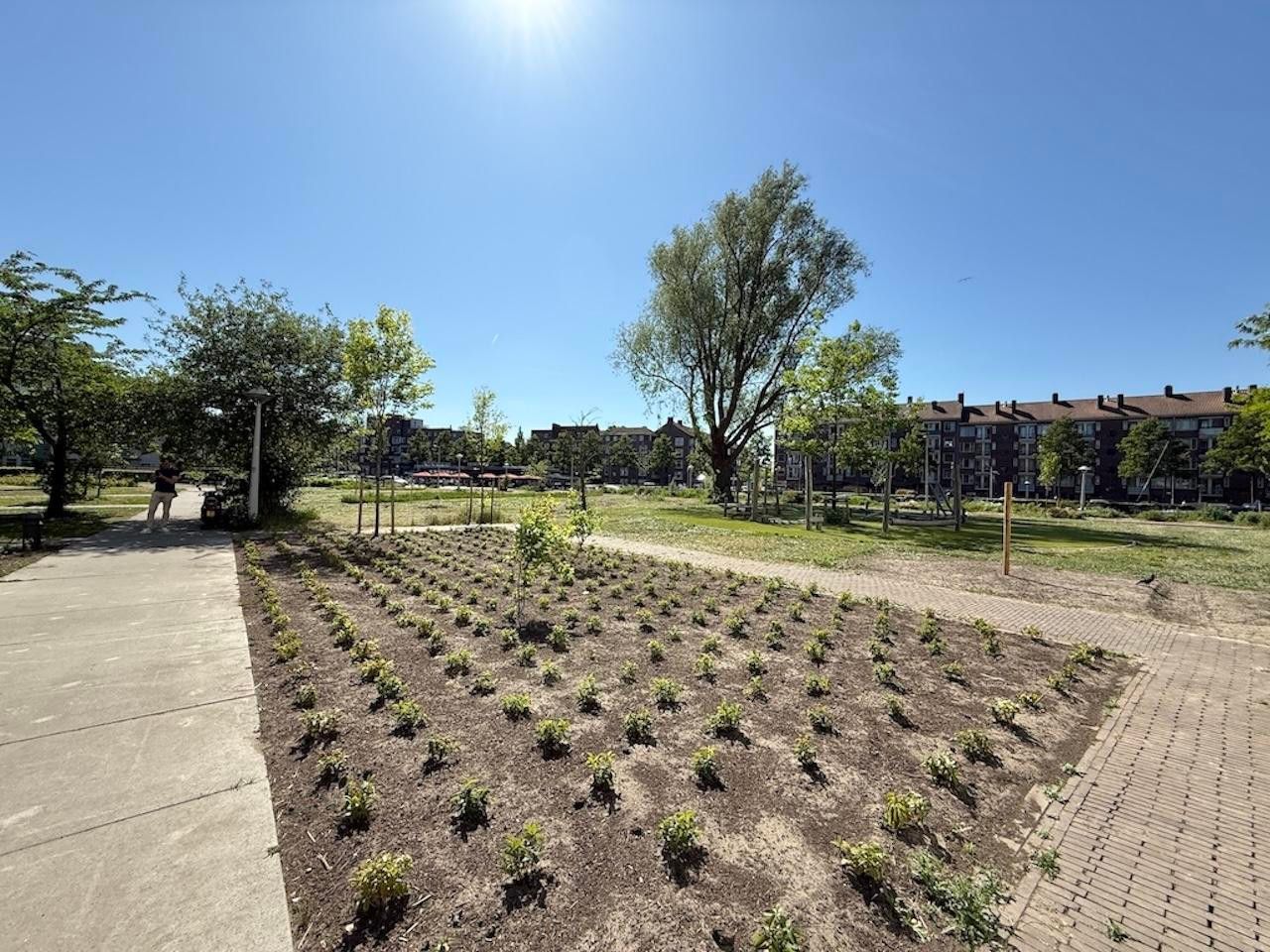 Foto 14 van Bos en Lommerplantsoen 89-M