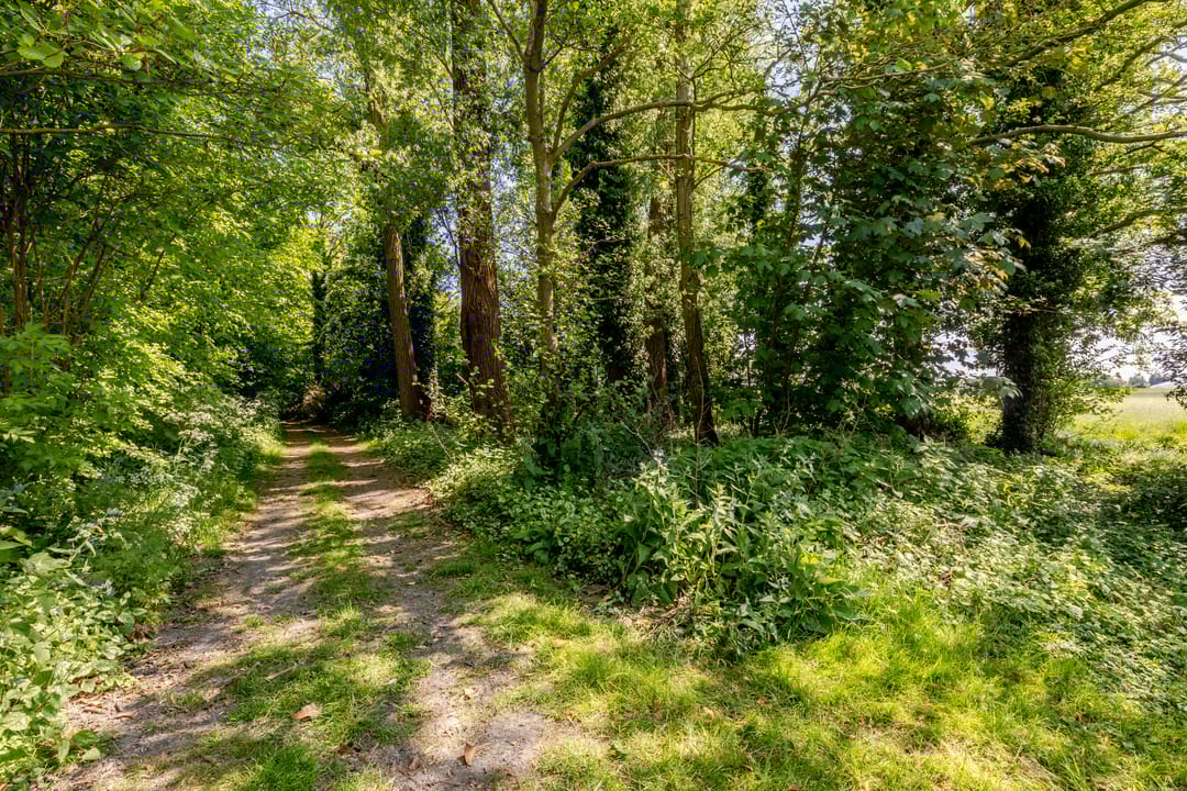 Foto 83 van Wormerweg 17