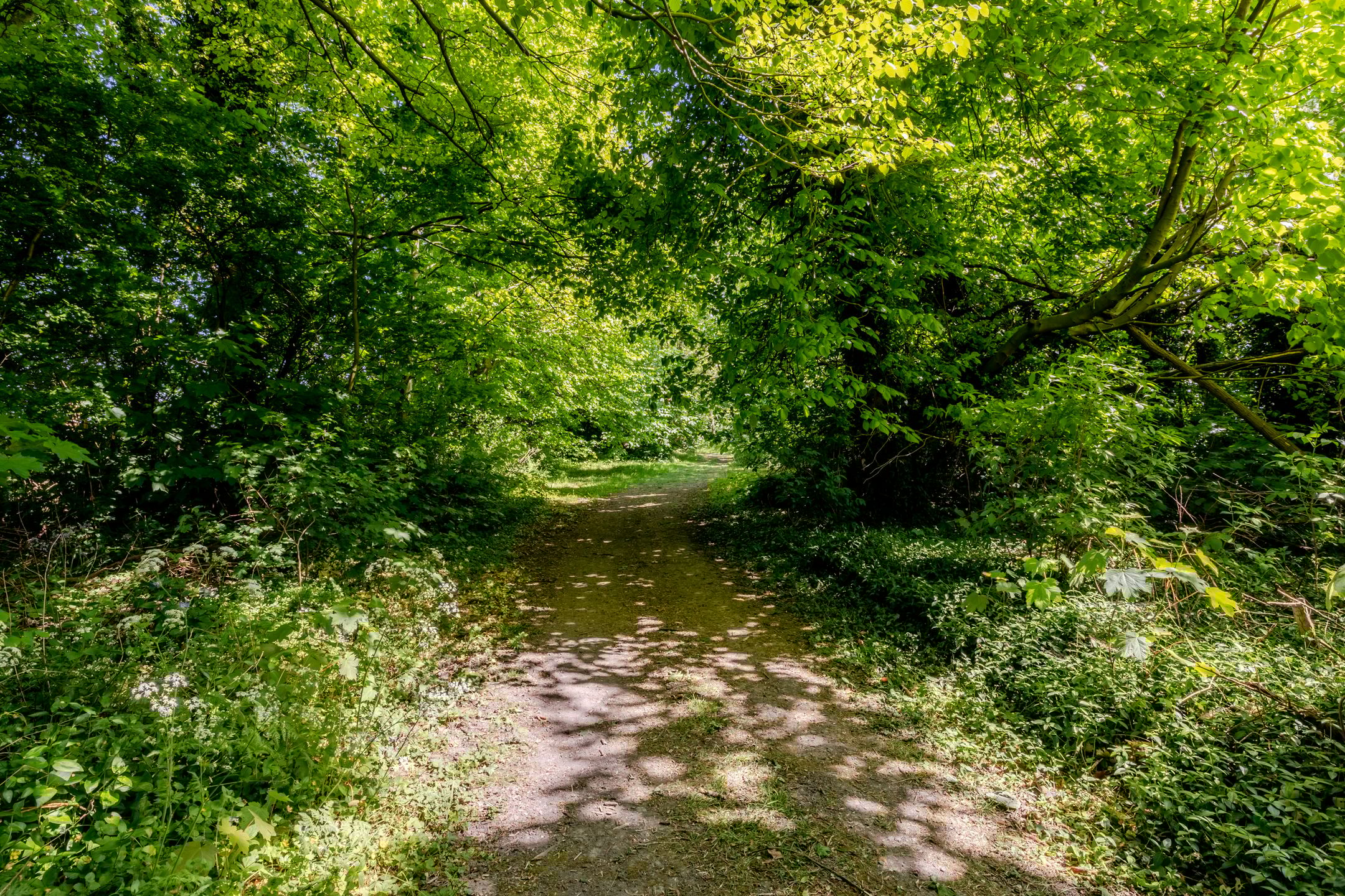 Foto 84 van Wormerweg 17